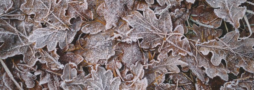 Winter in Lake Placid